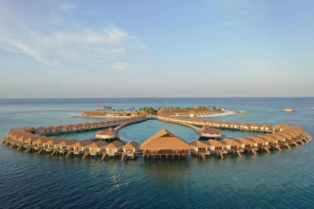 Cinnamon velifushi